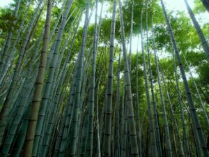 Benefits of Using Bamboo Mats in Summer